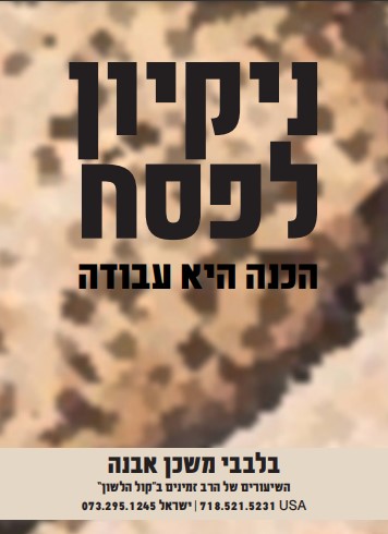 ניקיון פסח ניקיון פסח