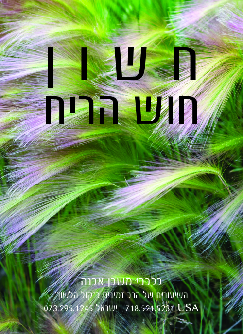בלבבי.חוש.הריח בלבבי.חוש.הריח