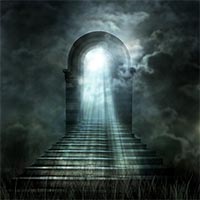 הדרכה מעשית הדרכה מעשית