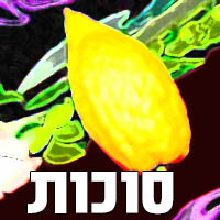 סוכות סוכות